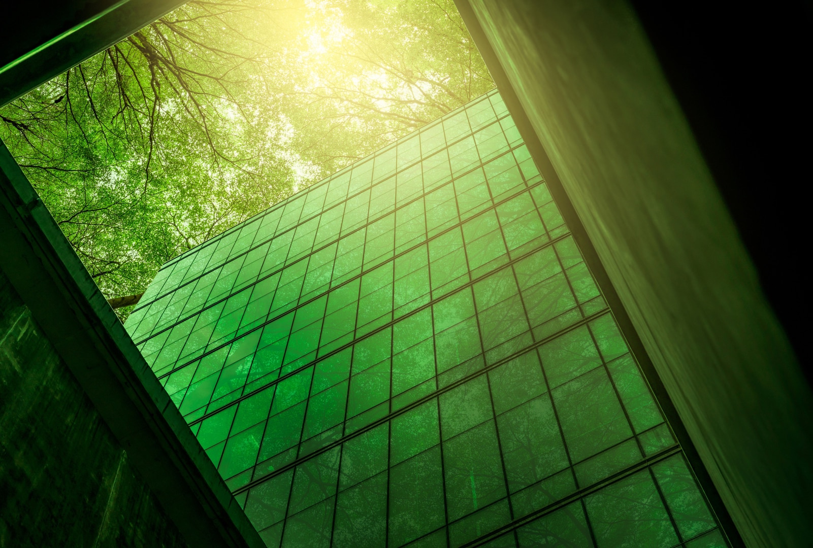 banner-background