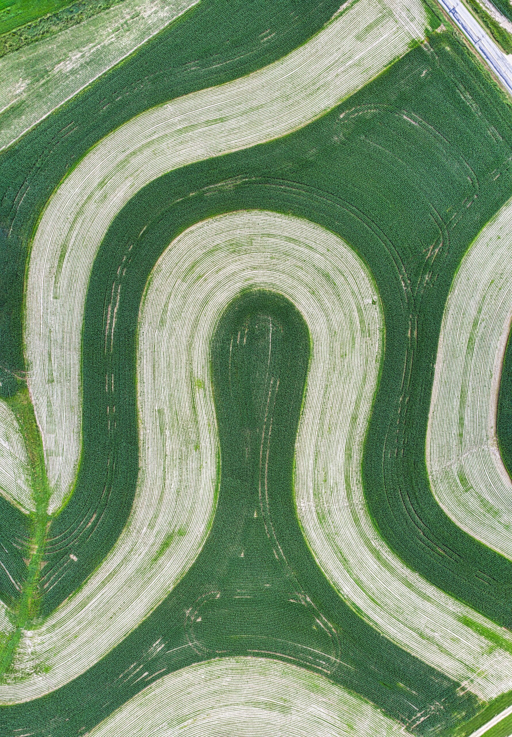 banner-background